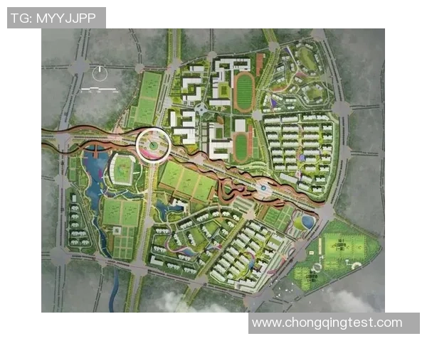 探索全球体育运动发展趋势与未来影响,全面解析各项体育项目的创新与挑战