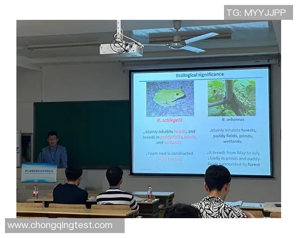 探索现代足球俱乐部运营模式与全球化发展趋势深度研究探讨篇